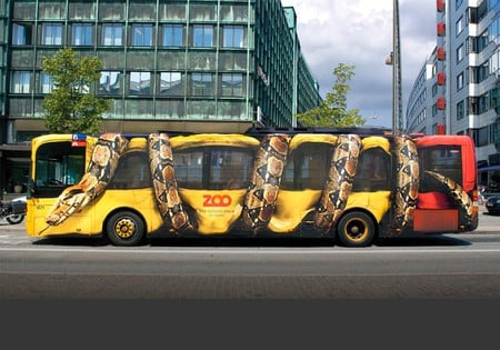 Anaconda Bus - bus, anaconda, picture, cool