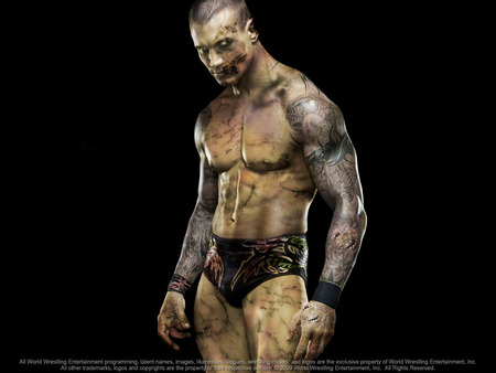 Transforming - tattoo, wrestler, torso, bruises, man, scars, muscles, brief