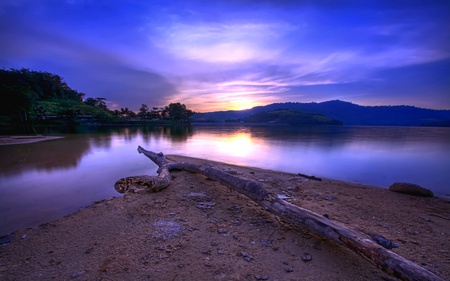 Stick To You - branches, sky, lake, mountain, sun, forest, reflection, blue, ray