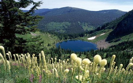 Travel Lake - wildflowers, minnesota, trees, beautiful, travel, lake, mountains, sky