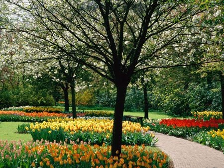 Keukenhof-Holland - park, garden