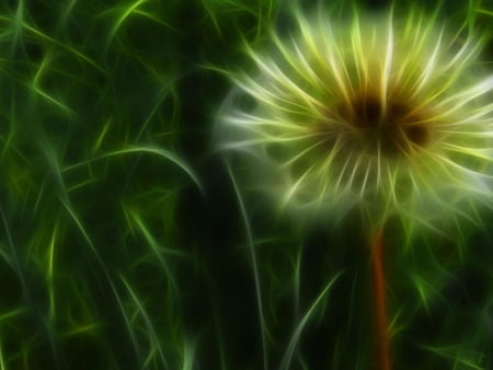 Dandelion . jpg - blowthem, dandelion, weed, nature