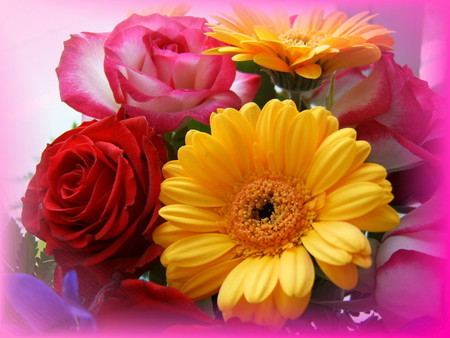 pic 17505 1024x 768. jpg - rosespink, boquet, daisy yellow, red