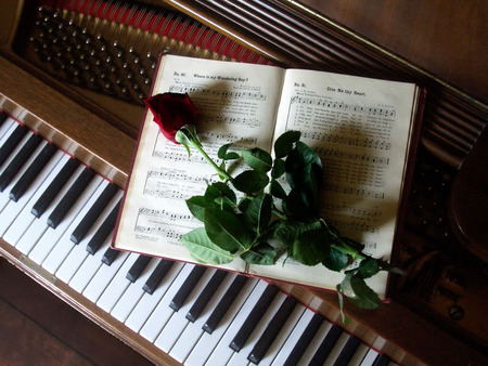 Red rose - white, love, piano, roses, music, black