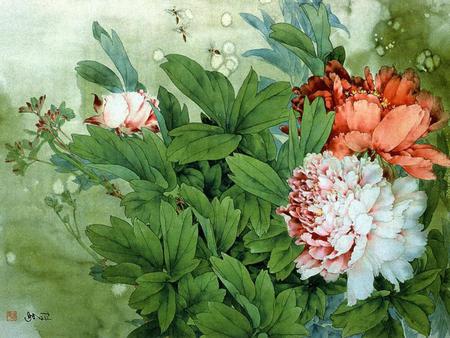 Peonies - flowers, white, green, peach, leaves