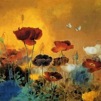 POPPIES