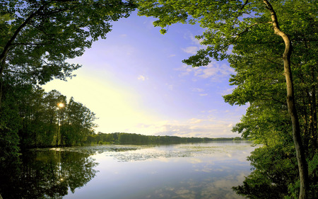 Wonderful View - trees, lilies, nature, lakes, sun, sky