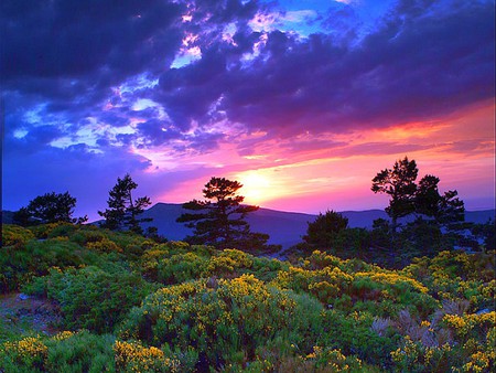 Colors of Nature - beautiful sunset, colors of nature, picture