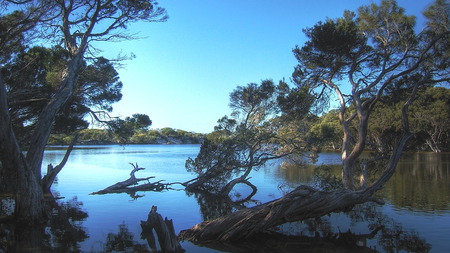 kangaroo-island - nature, wilderness, sunshine, trees, hot, island, water, scene