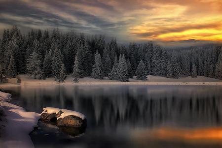 Trees - nature, trees, water, sunset, rocks