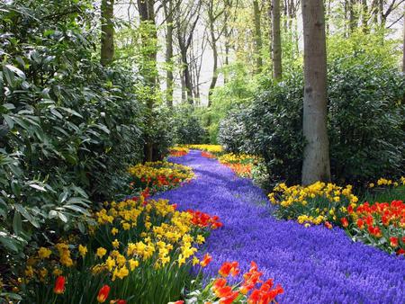 Flowers - flowers, sky, trees, nature