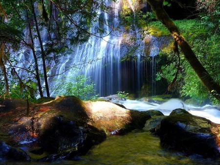 Waterfall - waterfall, trees, nature