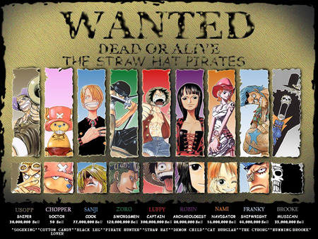 One Piece Wanted - wanted, one, piece