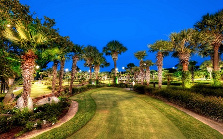 The Beauty Of Palm Trees - blue, garden, palm trees, golf course, light, sky