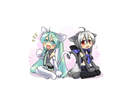 Miku & Haku - hatsune miku, girls, sexy, taal, animal ears, catgirls, caffein, anime, cute, yowane haku