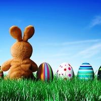 Easter Bunny