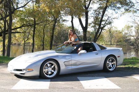 Vette-Model - silver, vette