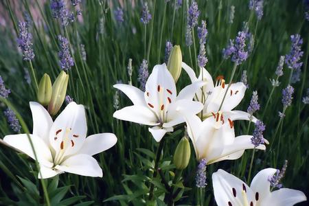 Lilies and Wild Flowers - lilies, wild flowers, easter, flowers, spring