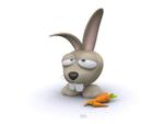 funny 3d rabbit