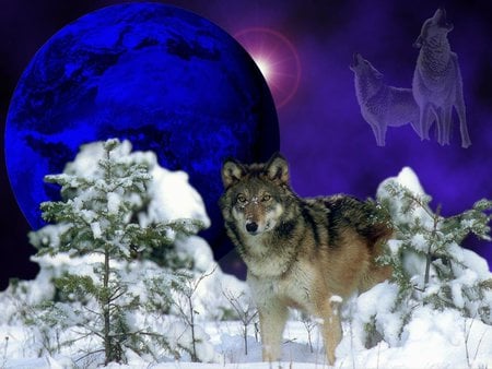 TO LOKI MY FRIEND - trees, sky snow, purple, blue, wolves