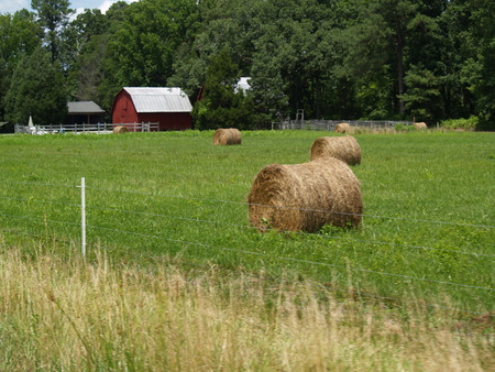 Country Livin'  - summer, farm, hay, red barn, scenic, barn, country