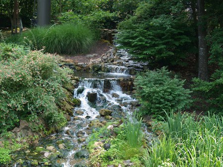 Mountain Water - stream, summer, rocks, cool, water, waterfall, solace, serenity