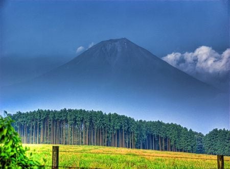 High Mountain - nice, trees, grasslands, mountains, storm, white, amazing, yellow, cool, clouds, orange, green, grass, high, trunks, fields, fence, mounts, forests, landscape, plants, blue, beautiful, awesome, pines, frontier