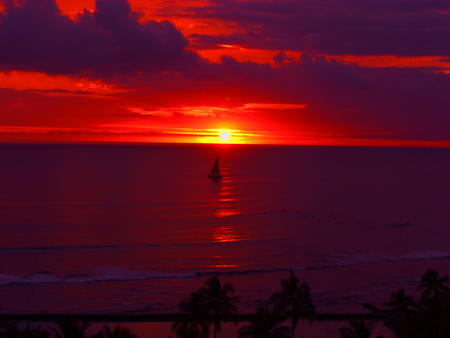 Waikiki at sunset - palms, sunset, water, sailboat, red, waves, orange