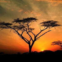 Sunset in Africa