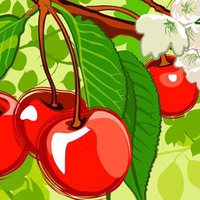 psd food illustrations3164 cherry and cherry blossom 1920x1200.jpg