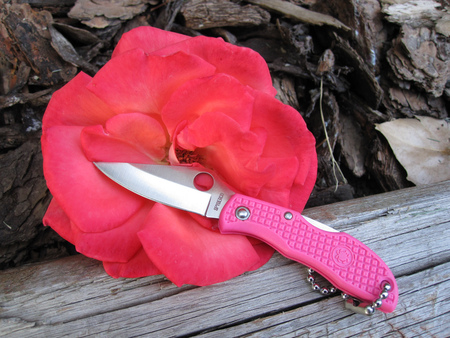 pink flower - flower, pink, pretty, penknife