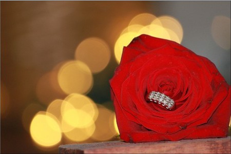 for you  - ring, red, flower, rose, present, love, passion, declaration