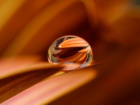 Water Drop - beautiful, photography, water drop