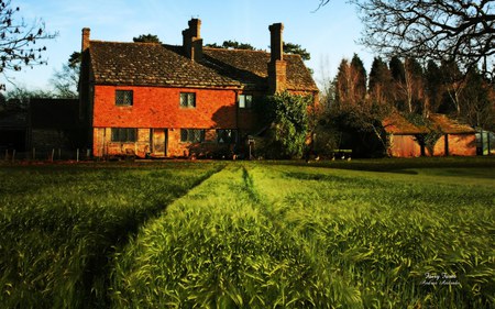 Fairy Farm - nature, fields, grass, architecture, farms