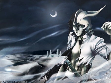 After the battle - hollow, bleach