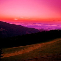 THIS IS THE GOOD LIFE TO SEE THIS IN THE MORRING