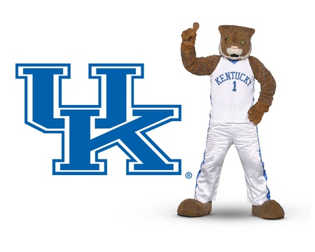 Kentucky wildcat - sports, basketball, wildcats, mascots, kentucky, big blue