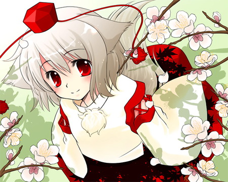 cutemomiji - momiji, touhou, sakura, funny, garden, cute, petals