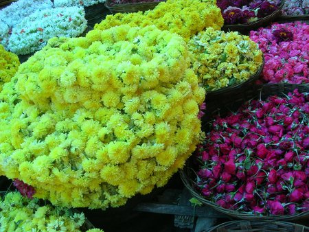 Spring bounty - white, red, pink, flowers, yellow, bunches