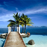 DOCK AND PALM TREES TAHITI