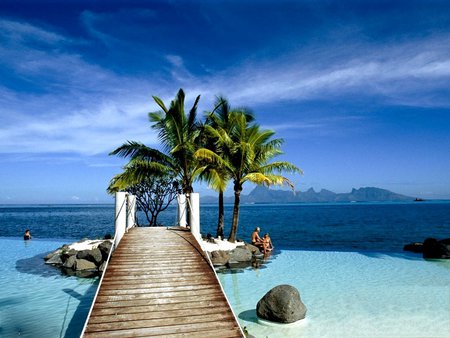 DOCK AND PALM TREES TAHITI - ocean, palm trees, tahiti, dock