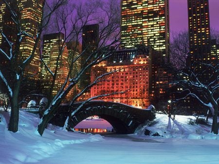 Central Park In Winter - new york, trees, ny, winter, night, christmas, snow, central park, bridge