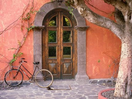 Bicycle in the Doorway - houses, bike, wallpaper, ivy, bicycle, doorway, wall, door, doors, architecture, new