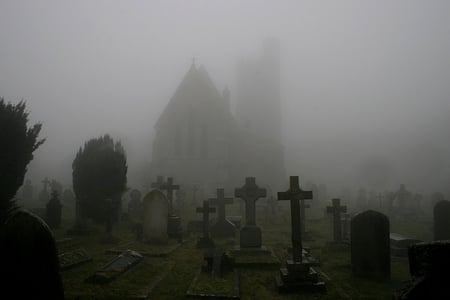 THE MISSED INTHE MIST - grave, mist, cemetry