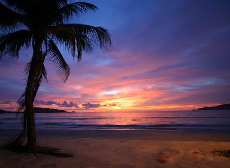 BeachWallpaper1  1. jpg - palmtree, beach, sunset, romantic