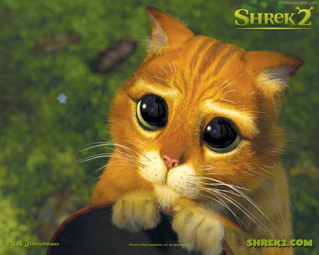 From Shrek - cat, shrek, cartoon, character