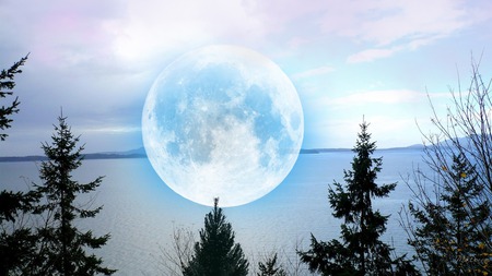 Chuckanut Moon - moon, sky, ocean, trees, islands, water, bay, widescreen, washington, sea, firefox persona