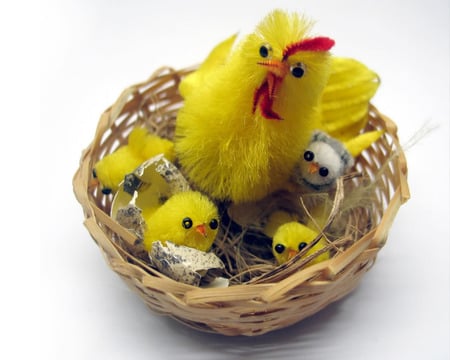 chicks - fluffy, easter, pretty, yellow, holiday, chicks, chiken