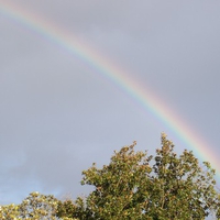 Rainbow on a rainy day