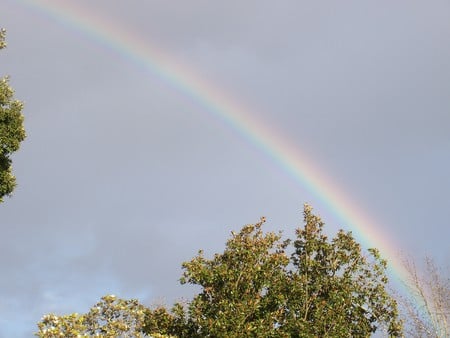 Rainbow on a rainy day - rainy day, rain bow, rainy, rainbow, rain, bow, day